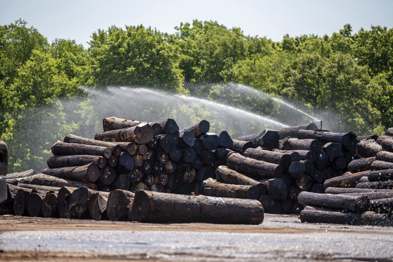 Demand for wood veneer keeps factory humming